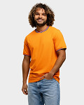 LEM1205